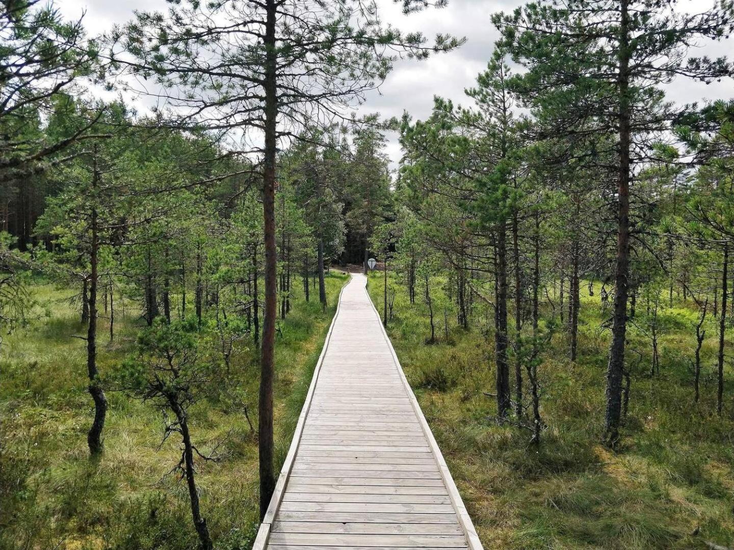 Norwegian Saunahouse Haapse Екстер'єр фото